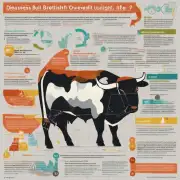 哪些疾病与英牛过重有关联并且这些疾病可能会对它们的生活质量和健康产生什么影响?