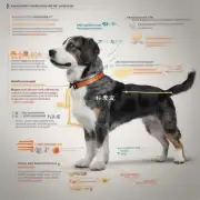 如果选择使用宠物医生所推荐的方法进行测量需要注意哪些细节吗?