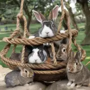电影爱丽丝梦游仙境中兔子们是如何用绳子绑住公兔的吗?
