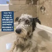 狗狗打狂犬多久洗澡合适?