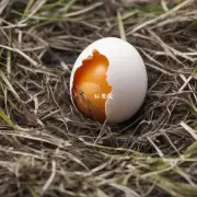问如果我发现卵中的胚胎已经破壳而未孵出如何判断它是否能继续发育下去?