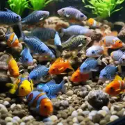 问在孵化期间我该如何防止其他鱼类进入我的鱼缸以防止对蛋的影响?