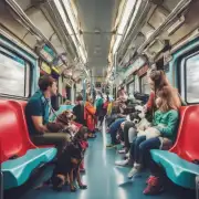 如果你选择不带宠物上火车你会考虑其他交通方式吗?