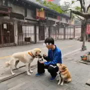 一般情况下在中国大陆地区一只训练有素听话且不乱咬东西的小狗的价格大约是多少钱?