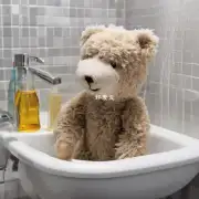 在洗浴过程中怎样对泰迪毛毛进行蓬松处理?
