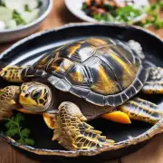 煮熟的巴西龟如何保存以保持最佳品质?