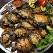 煮熟的巴西龟与其他食物一起食用会有什么影响吗?