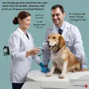 问小狗打完第一剂疫苗后什么时候可以打第二针?