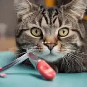 为什么猫咪需要经常修剪指甲而不是自己磨去呢?