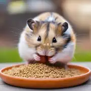 如果仓鼠在几天内无法食用干粮怎么办?