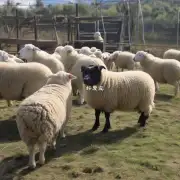 为什么狗羊在生产过程中需要特别注意自己的体位问题呢?