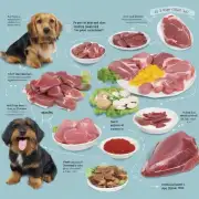 如果我想让狗狗吃鸭心作为主要食物应该添加哪种其他食品来平衡其营养需求?