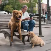 坐着爬行是狗狗天生就会做的吗?
