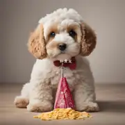 在三个月内泰迪犬每天平均要吃多少克的人工食物?