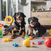 有些主人会为他们的宠物选择一些特殊的玩具或食物作为奖励在训练小狗时这些奖励对于小狗而言是什么样的体验?