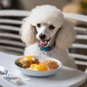 如果您正在给一只博美犬喂食早餐时突然听到他发出的叫声它是如何描述那只狗?
