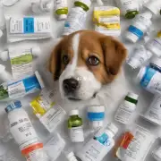 我想知道现在市面上的狗五联疫苗的价格是怎样的?