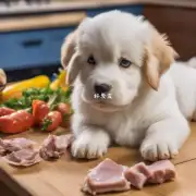 问题表述你有没有听说过喂食幼犬时给它提供一些特殊的食物如鸡肉瘦牛肉来补充营养呢?如果是的话您知道哪些特定食品是适合幼犬食用的吗?