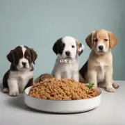 问幼犬每天应该吃什么量的狗粮?