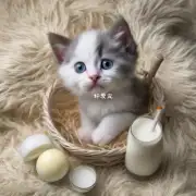 新生小猫需要喝什么样的奶水?