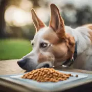 在狗狗最近的食物中是否存在任何明显的变化如口味质地等?