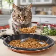自制猫食品质如何保证?