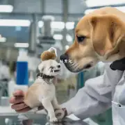 现在市面上有提供狗五联疫苗的厂家他们生产的质量如何?