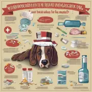 哪些药物对你的狗有危险?