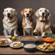 在狗狗最近的饮食中你是否注意到它们有特殊的食物喜好或偏好?