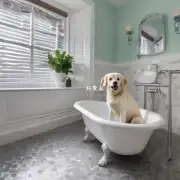 为什么狗不喜欢坐在浴缸内而更喜欢站在旁边?