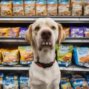 如果我想让狗狗吃的话可以买狗粮也可以购买其他类型的食品作为补充吗?