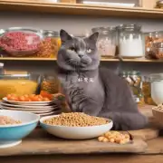 如何制作出有营养且口感良自制猫食呢?