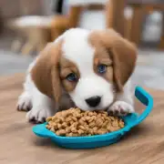 如果我们的小狗正在减肥期并且需要控制他的饮食习惯那他吃的食物会是什么样的呢?