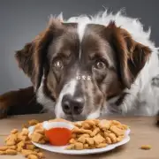 为什么我们不能让狗狗过量食用含盐食物呢?