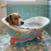 如何让狗适应在浴缸中游泳?