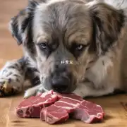 刚断奶的狗狗可以吃肉类食品吗?