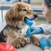 在狗五连疫苗中除了狂犬病和肺炎支原体之外还需要接种其他疾病的疫苗吗?