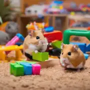 你是否考虑过给你的仓鼠提供玩具和游戏来增加它们的生活乐趣?
