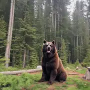 比熊犬多少钱?