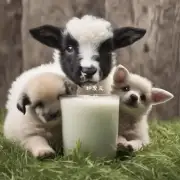 幼犬喝羊奶是否与其他食物一起食用会有什么益处?