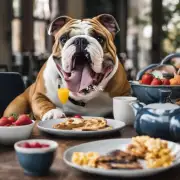 如果您正在给一只斗牛犬喂食早餐时突然听到他发出的叫声它是如何描述那只狗?