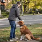 如何教你的狗狗听从你的指挥如在公共场所中如何使用口令?