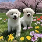 一句完整的陈述为什么春天是小狗们最幸福的时候?