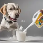 你觉得使用什么样的洗涤剂对宠物狗餐具的清洗效果更好?