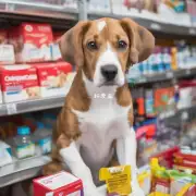 现在市面上哪些品牌有提供狗五联疫苗销售?