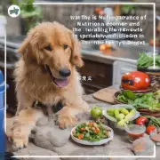 问题陈述喂食泰迪狗时要注意什么营养和营养成分平衡的重要性以确保它们健康成长?