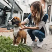 如何教一只小狗如何按照指令行动?