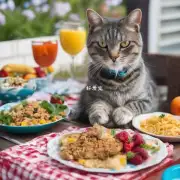 的问题是猫在夏季是否有不同的饮食习惯?