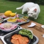 的问法夏天炎热猫会选择凉爽的食物吗?