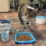如果你给一只猫提供足够的食物和水它应该会更愿意停止攻击?